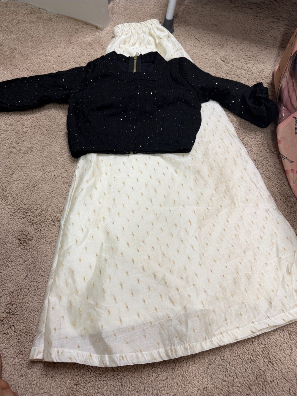 Indian girl pallazo and crop top